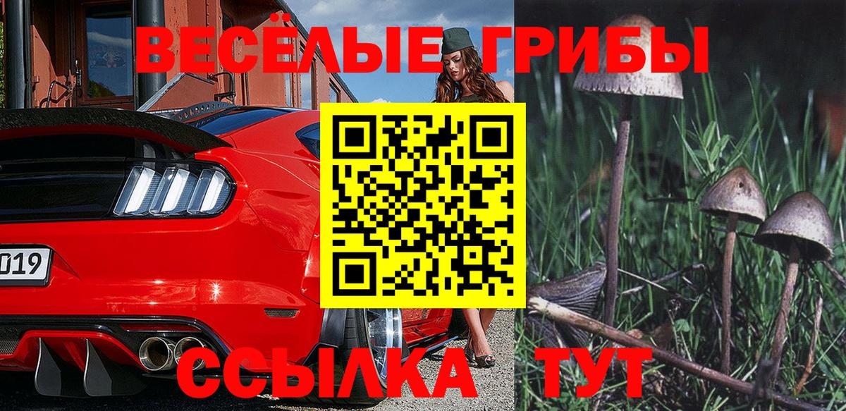 Псилоцибиновые грибы Psilocybe Кировск